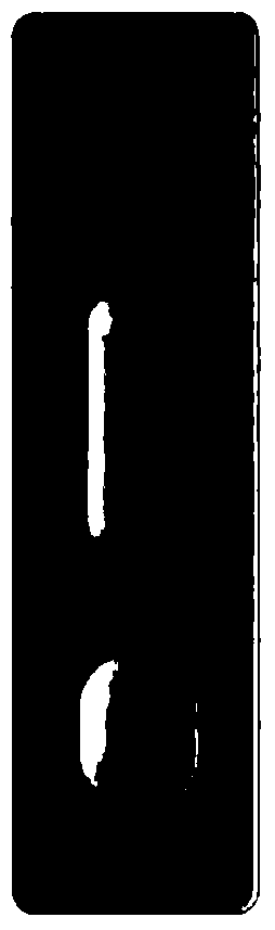 Probe capable of specifically identifying bisphenol A nucleic acid aptamer and test strip detection application of probe