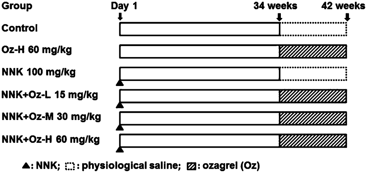 Application of thromboxane A2 synthetase inhibitor ozagrel in preparing drug for treating smoking-induced lung cancer