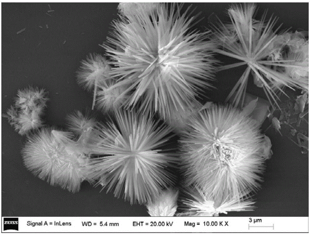 Preparation method of carbon-coated transition metal phosphide composite material and application of carbon-coated transition metal phosphide composite material to oxygen evolution reaction