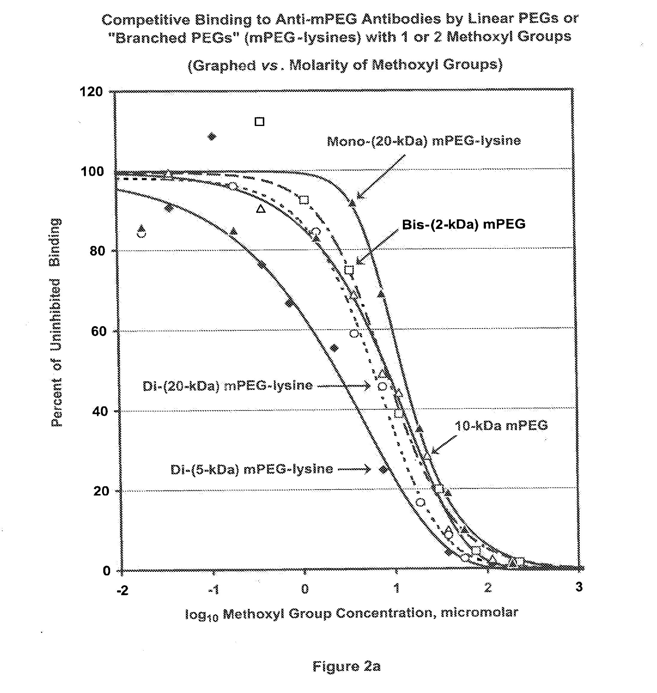 Polymer Conjugates with Decreased Antigenicity, Methods of Preparation and Uses Thereof