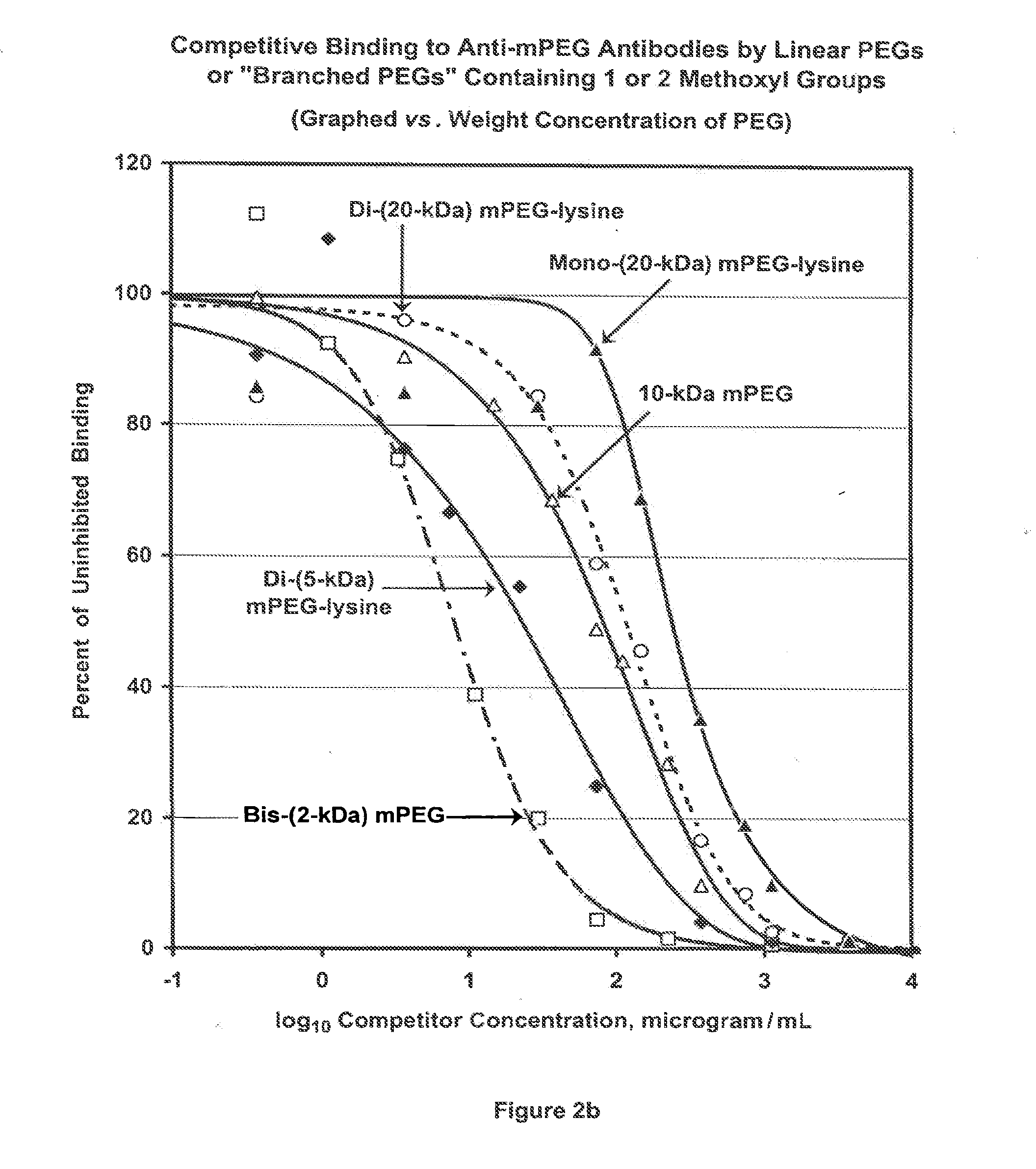 Polymer Conjugates with Decreased Antigenicity, Methods of Preparation and Uses Thereof