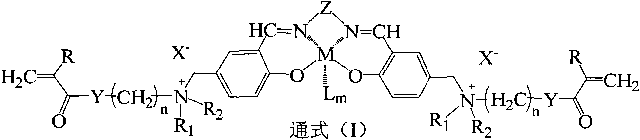 Functional monomer and preparation method thereof