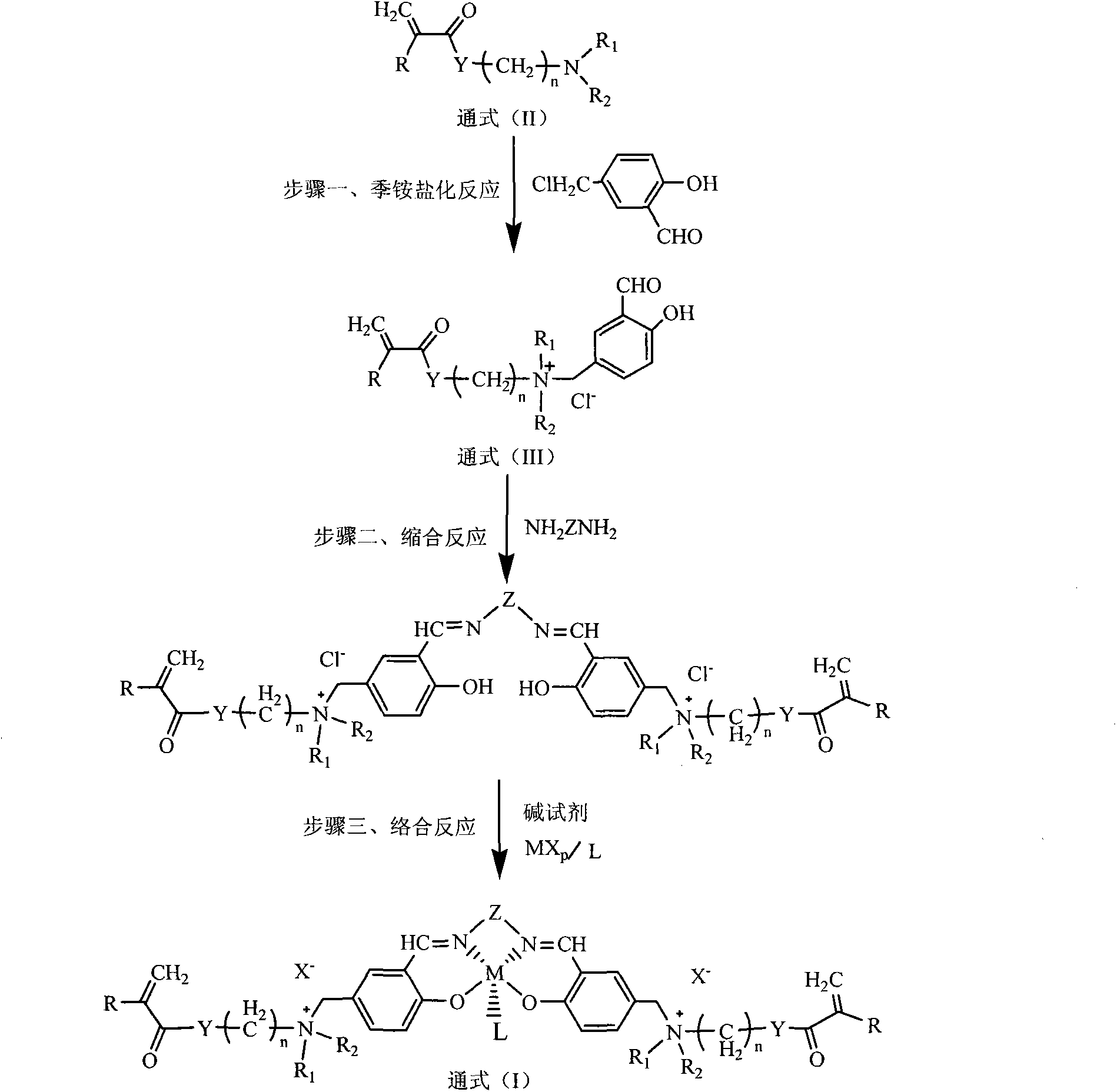 Functional monomer and preparation method thereof