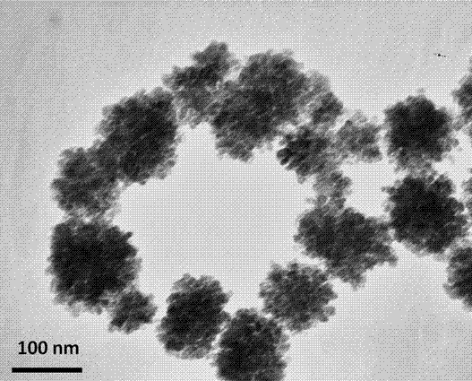 Preparation method of magnetic/gold nano composite particle