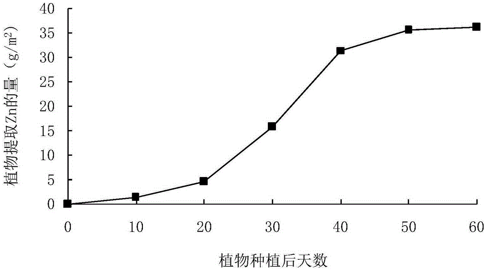 Plant composition repair method for severe zinc polluted rice field