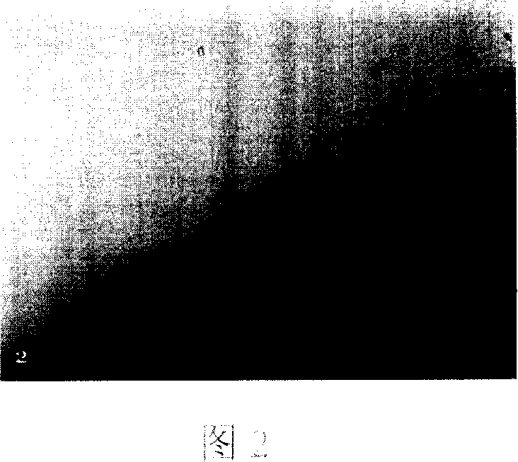 Injection type tissue engineering bone renovation material and construct method thereof