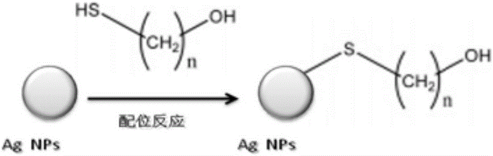 High-adhesion, low-surface-energy silver-loaded antifouling paint and preparation method thereof