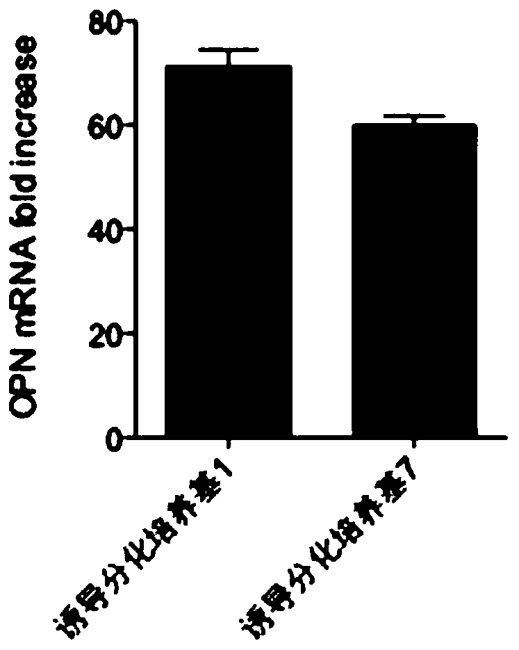 Human mesenchymal stem cell osteogenic differentiation medium and preparation method thereof