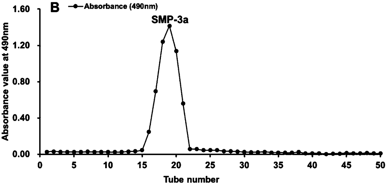 Solanum muricatum Ait acidic polysaccharide and purification method and application thereof