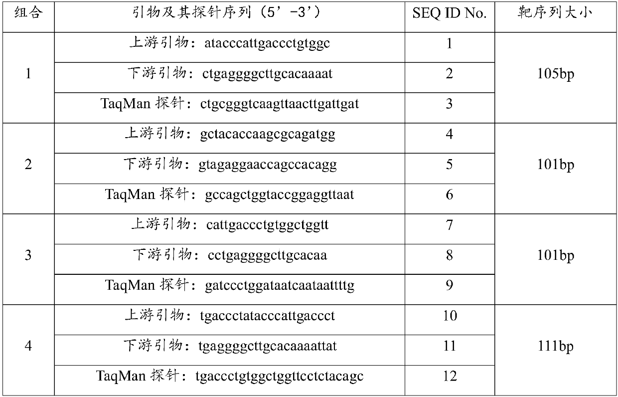 Method for detecting GI type Norovirus in seafood