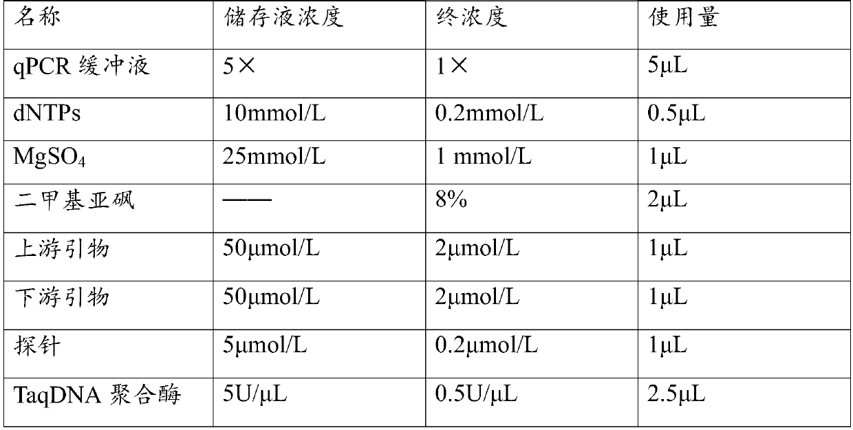 Method for detecting GI type Norovirus in seafood