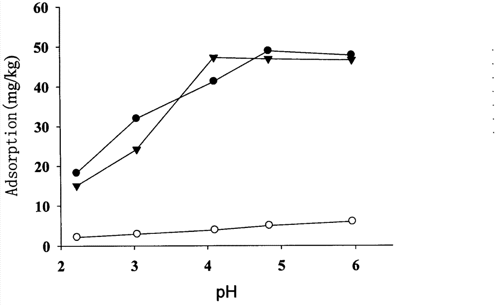 Preparation method and application of modified orange peel biological adsorbent