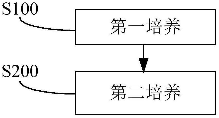 Method for inducing proliferation and erythroid differentiation of hematopoietic stem progenitor cells and its application