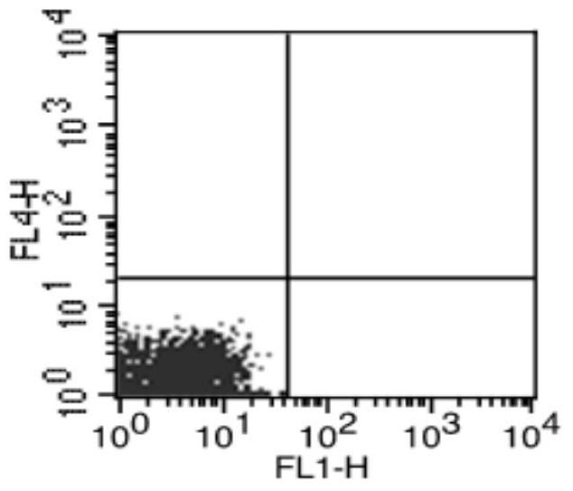 Method for inducing proliferation and erythroid differentiation of hematopoietic stem progenitor cells and its application