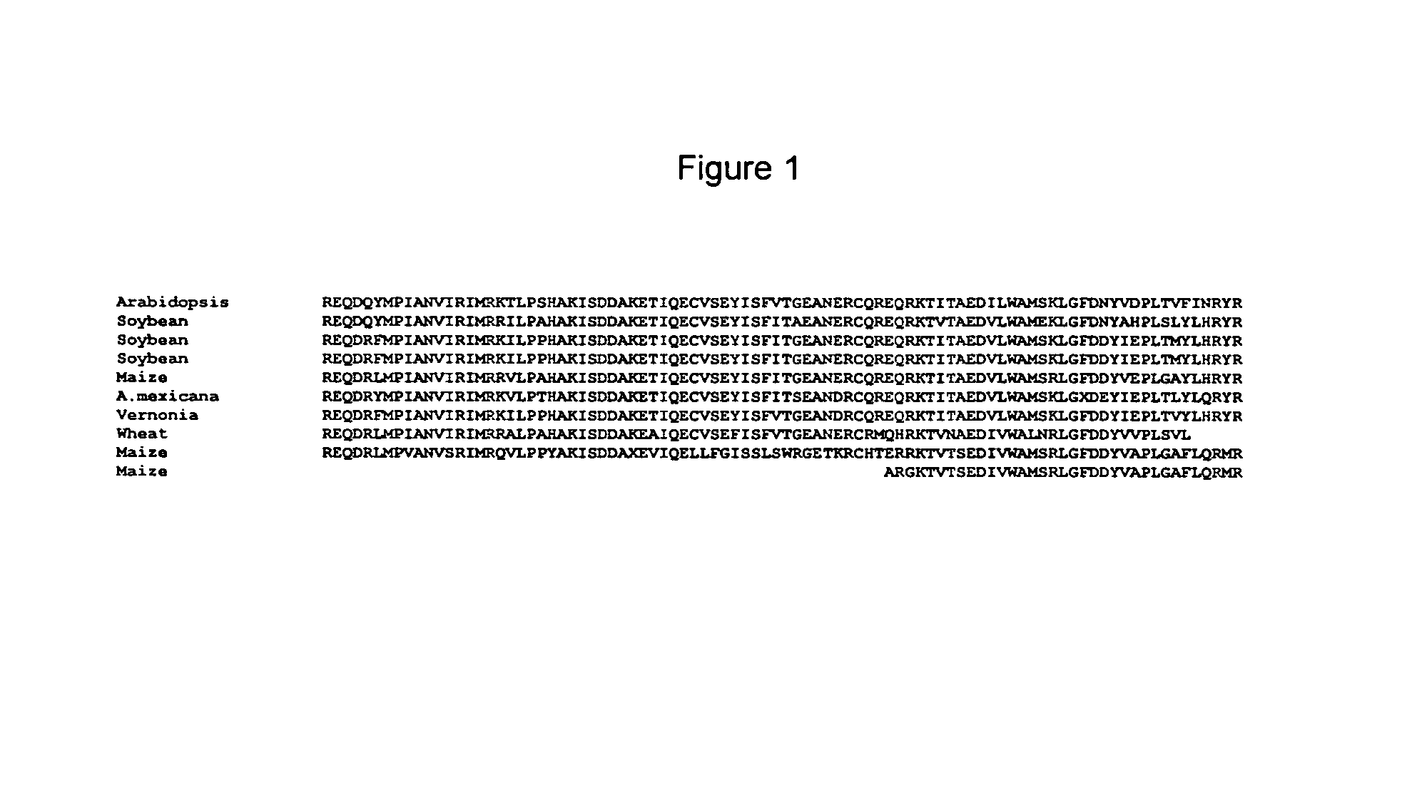 Isolated LEC1 transcriptional regulator encoding nucleic acids and methods of use thereof