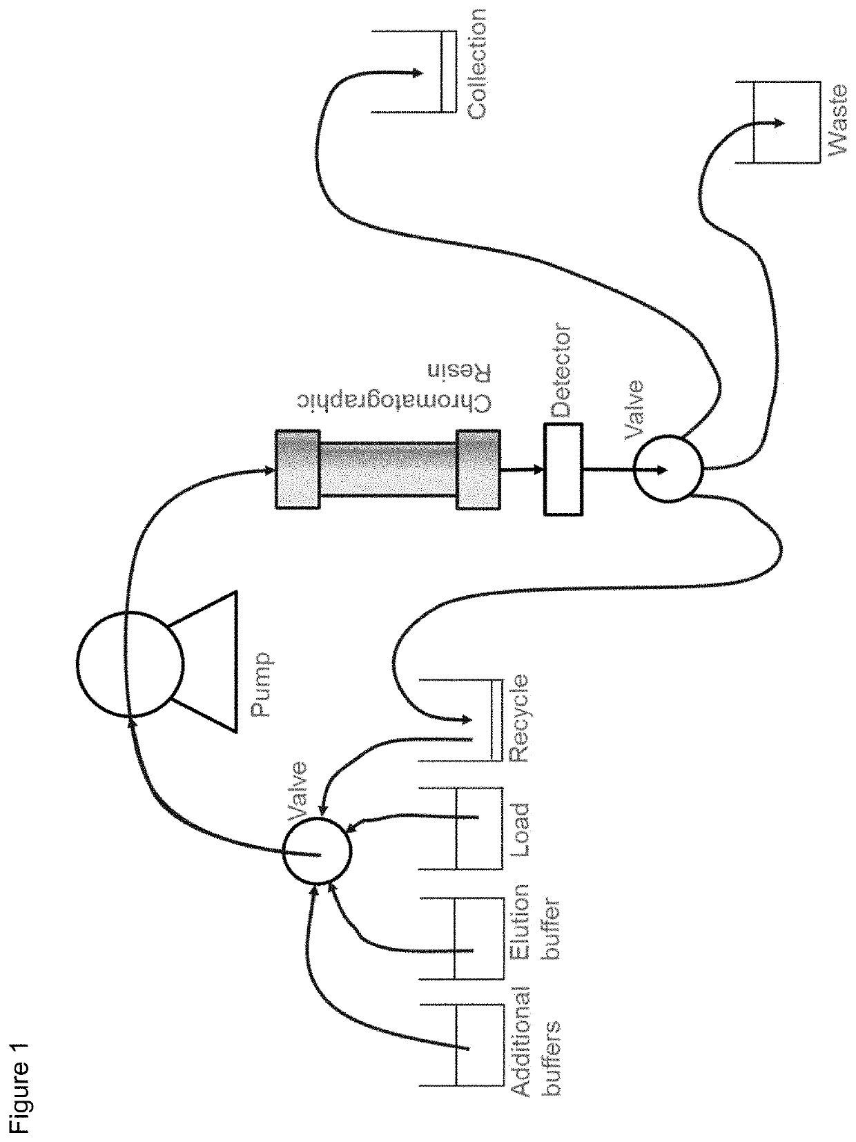 Protein purification