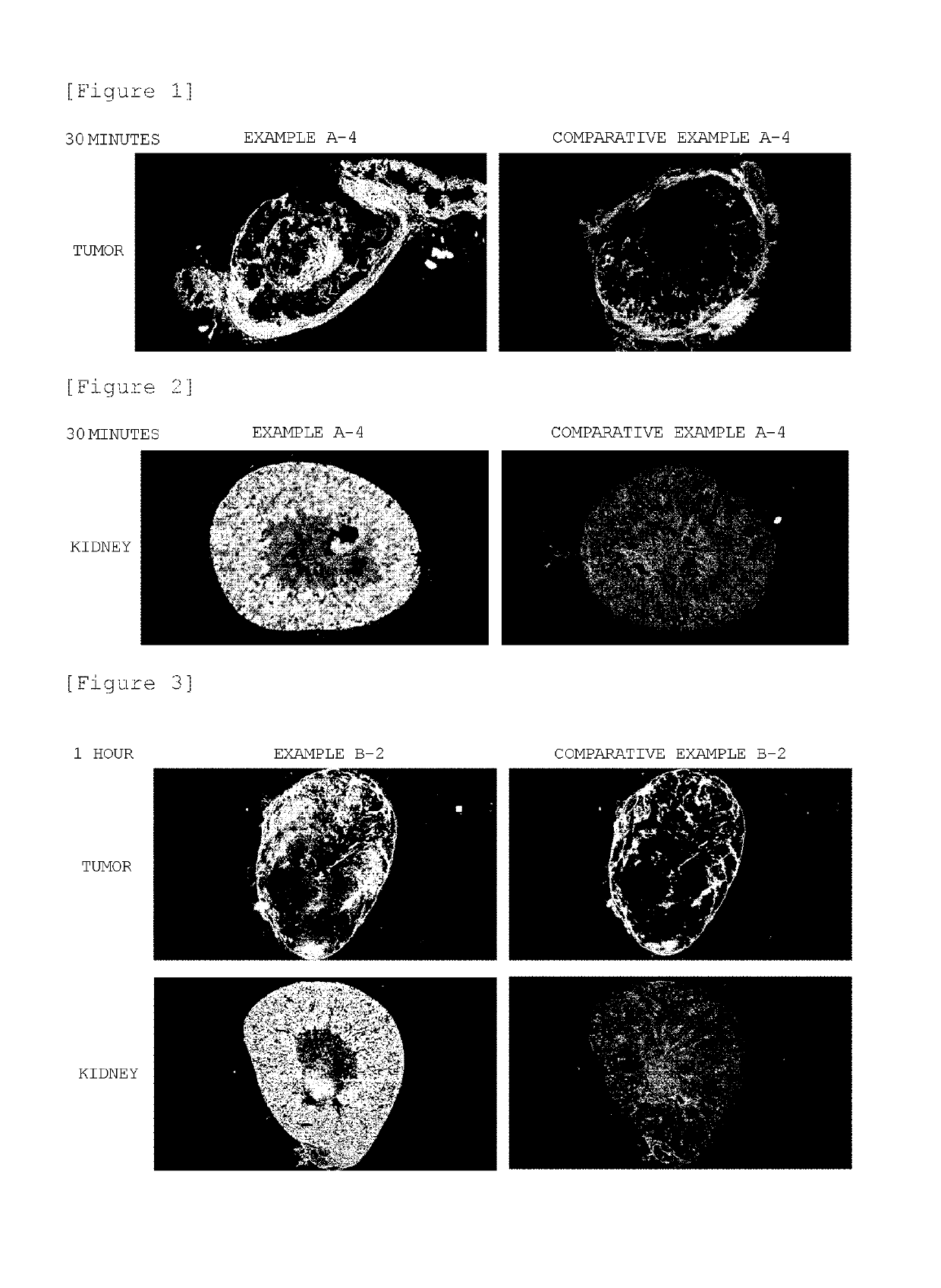 Block copolymer conjugate of physiologically active substance