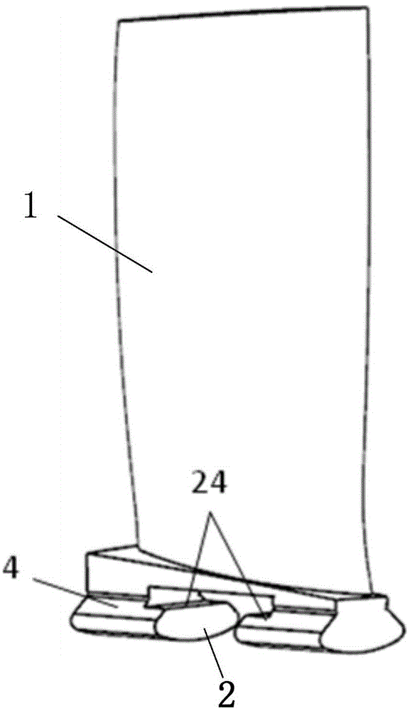 Combined blade root