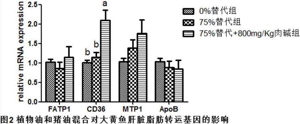 Artificial compound feed capable of promoting growth and reducing exceptional fatty deposition of young larimichthys crocea