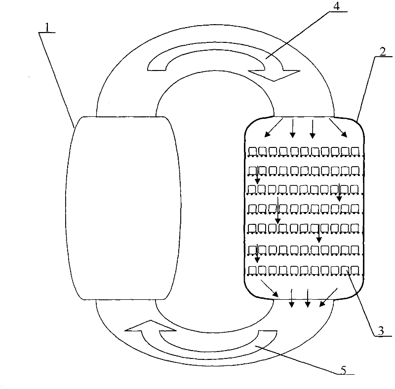 Processing and drying method of fructus momordicae