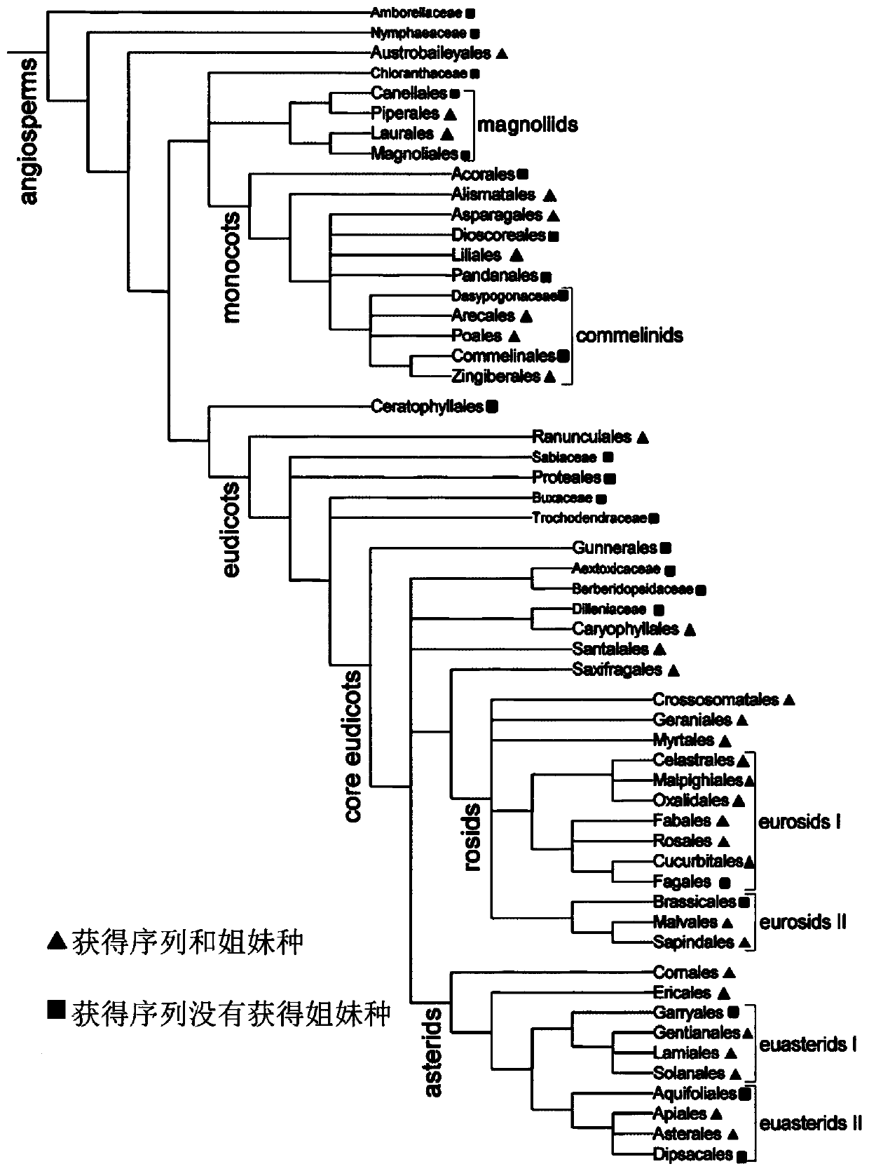 Identification methods and uses of seed plant species