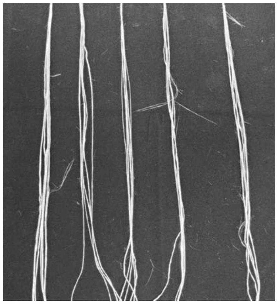 Abrasion-remedied wave-transparent silicon nitride fiber oiling agent and preparation method thereof