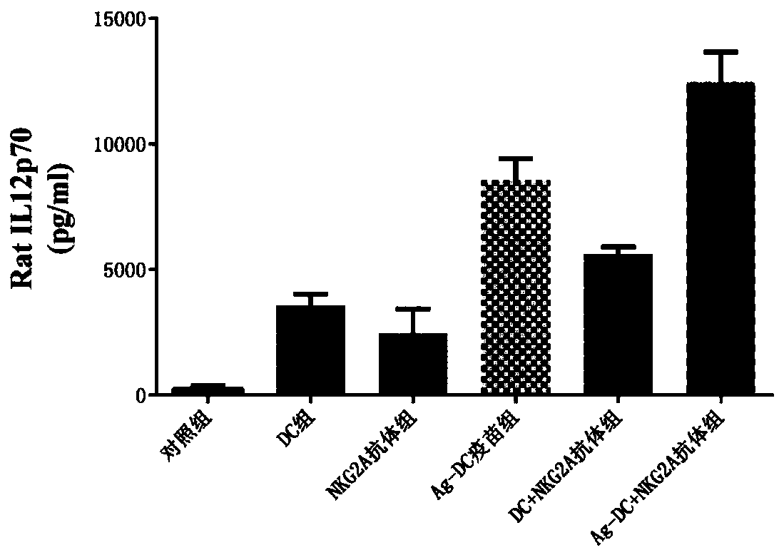 Composition capable of enhancing organism immunity and application of composition to resisting adult T-cell leukemia or nasopharyngeal carcinoma