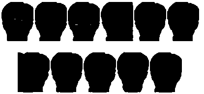 Image classification method based on low-rank sparse representation