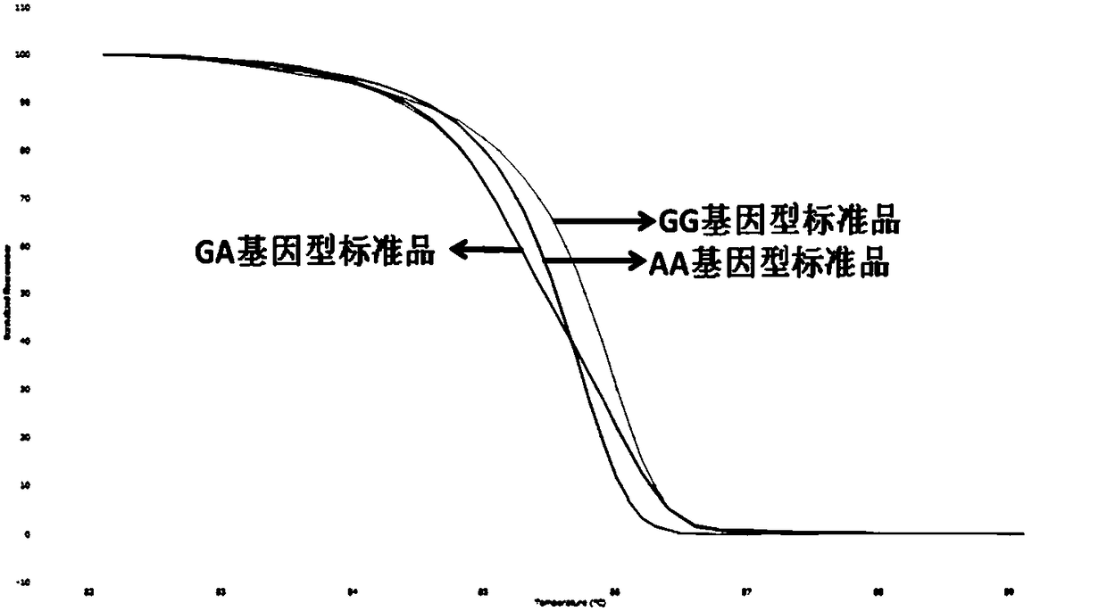 Method for detecting NOD1 gene single nucleotide polymorphism with HRM (High Resolution Melting) technology