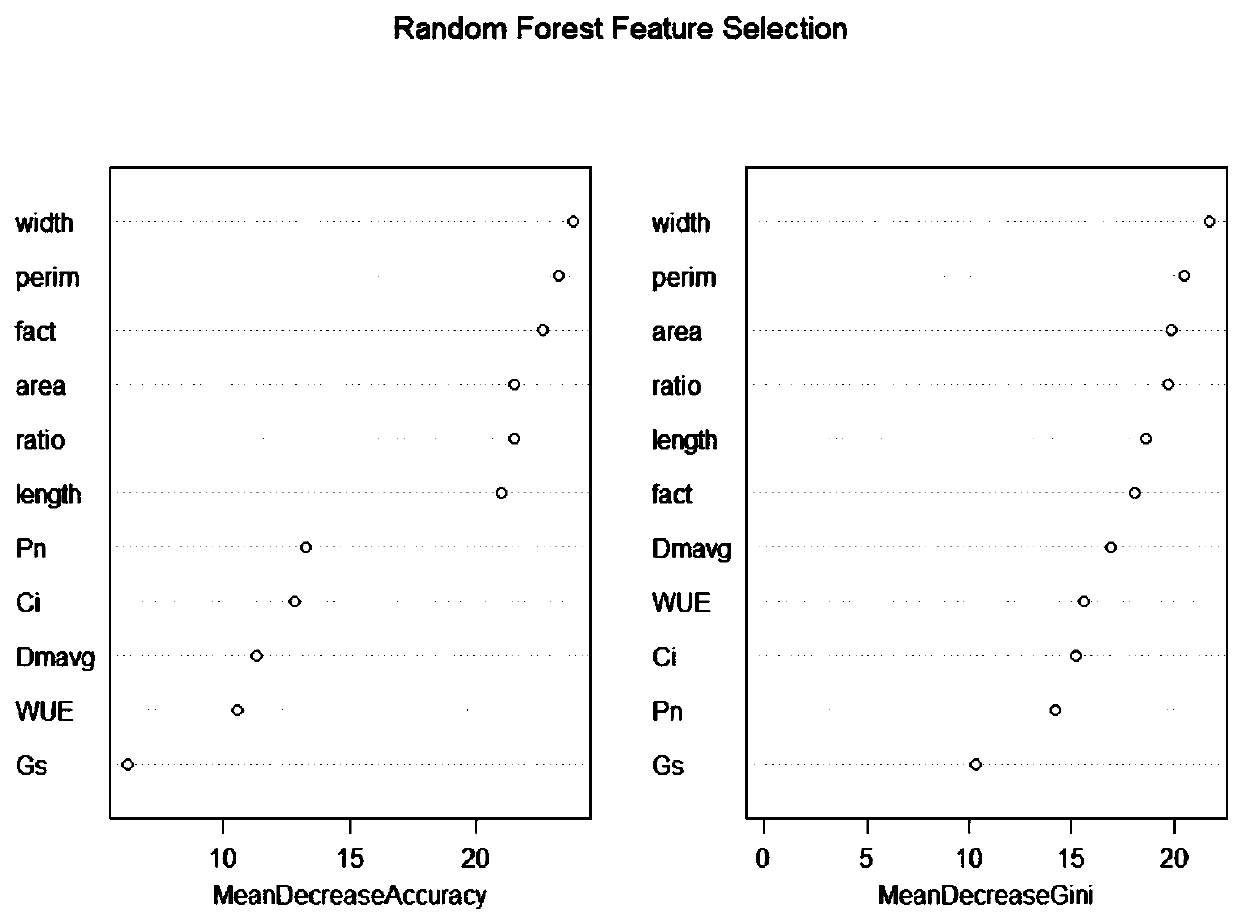 Construction method and prediction method of woody plant leaf phenotypic characteristics and photosynthetic characteristics prediction model based on DNA methylation level