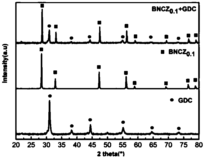 Preparation of cobalt-based cathode material with low thermal expansion coefficient for solid oxide fuel cell and application of cobalt-based cathode material