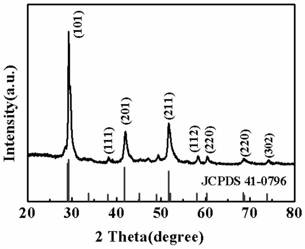 ECL biosensor based on NaBiF4 up-conversion nanoparticles