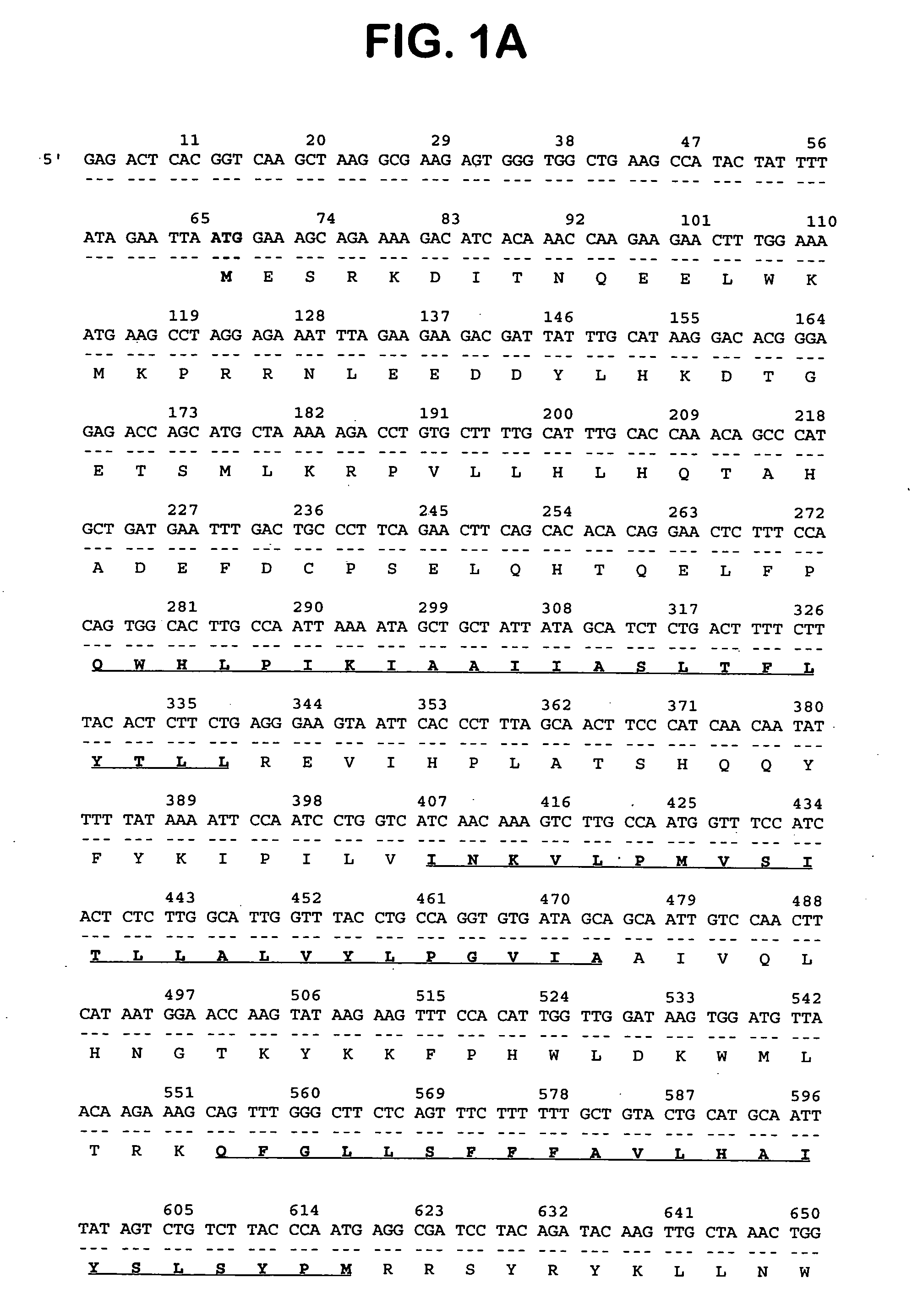 Novel serpentine transmembrane antigens expressed in human cancers and uses thereof