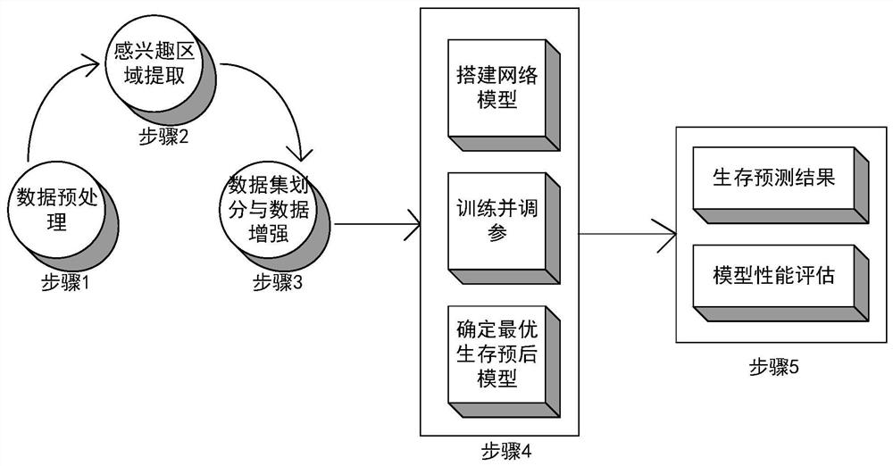 Non-small cell lung cancer prognosis survival prediction method, medium and electronic equipment