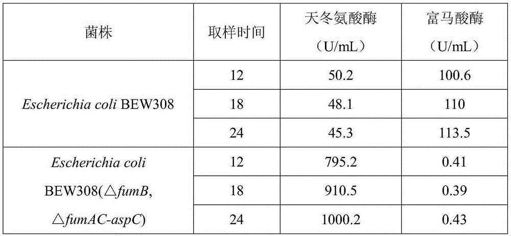 L-aspartase recombinant escherichia coli free of malic acid byproducts and construction method and application of L-aspartase recombinant escherichia coli