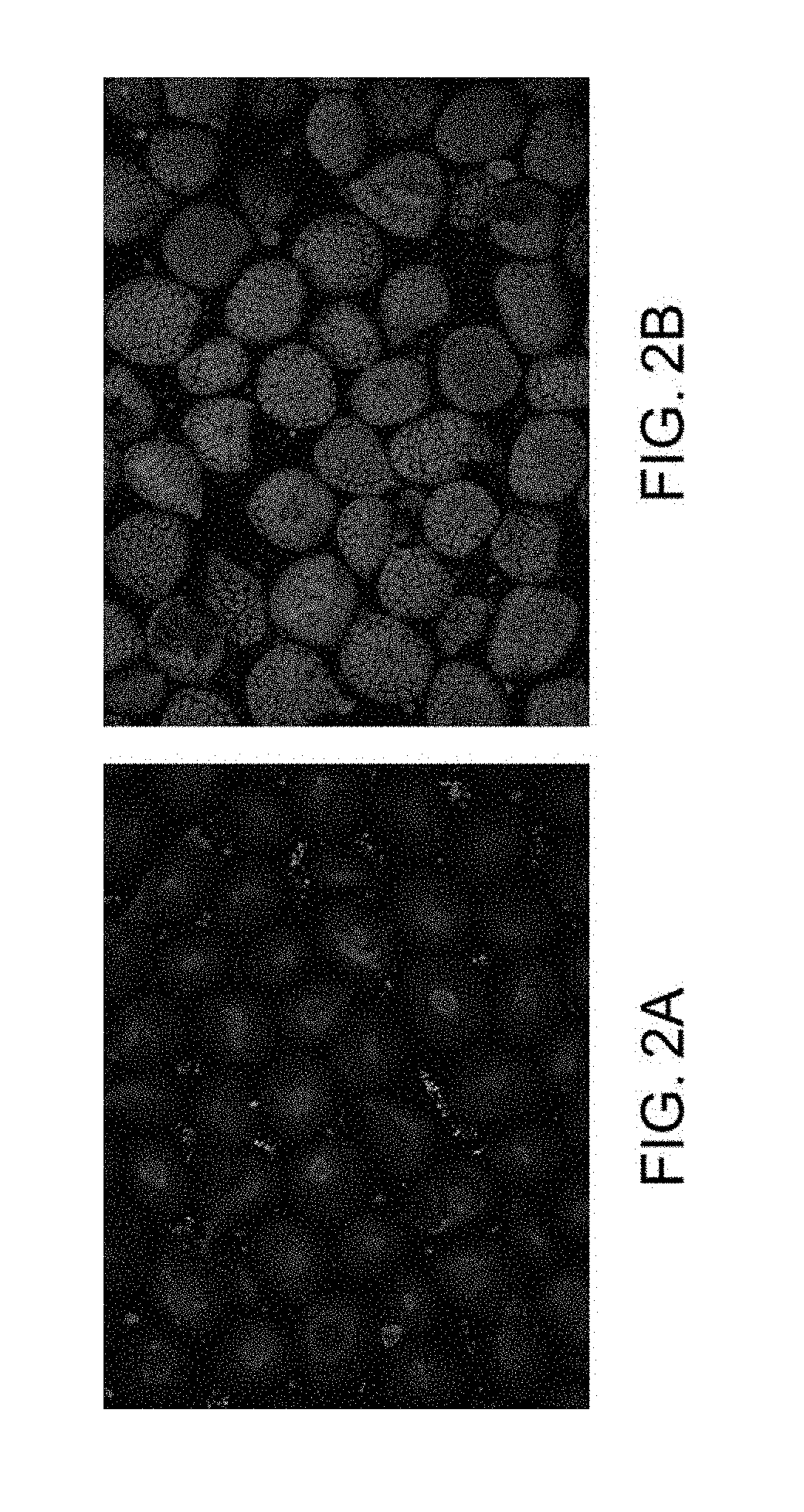 Polymeric functionalized roofing pellets