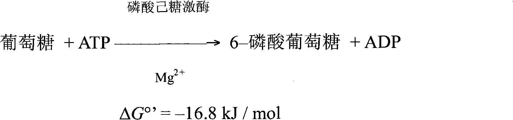 Beverage for supplementing human body energy and recovering people from fatigue as well as preparation method and application thereof