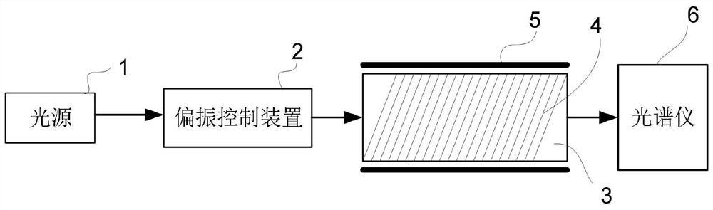 Novel coronavirus detection equipment and detection optical fiber preparation method thereof