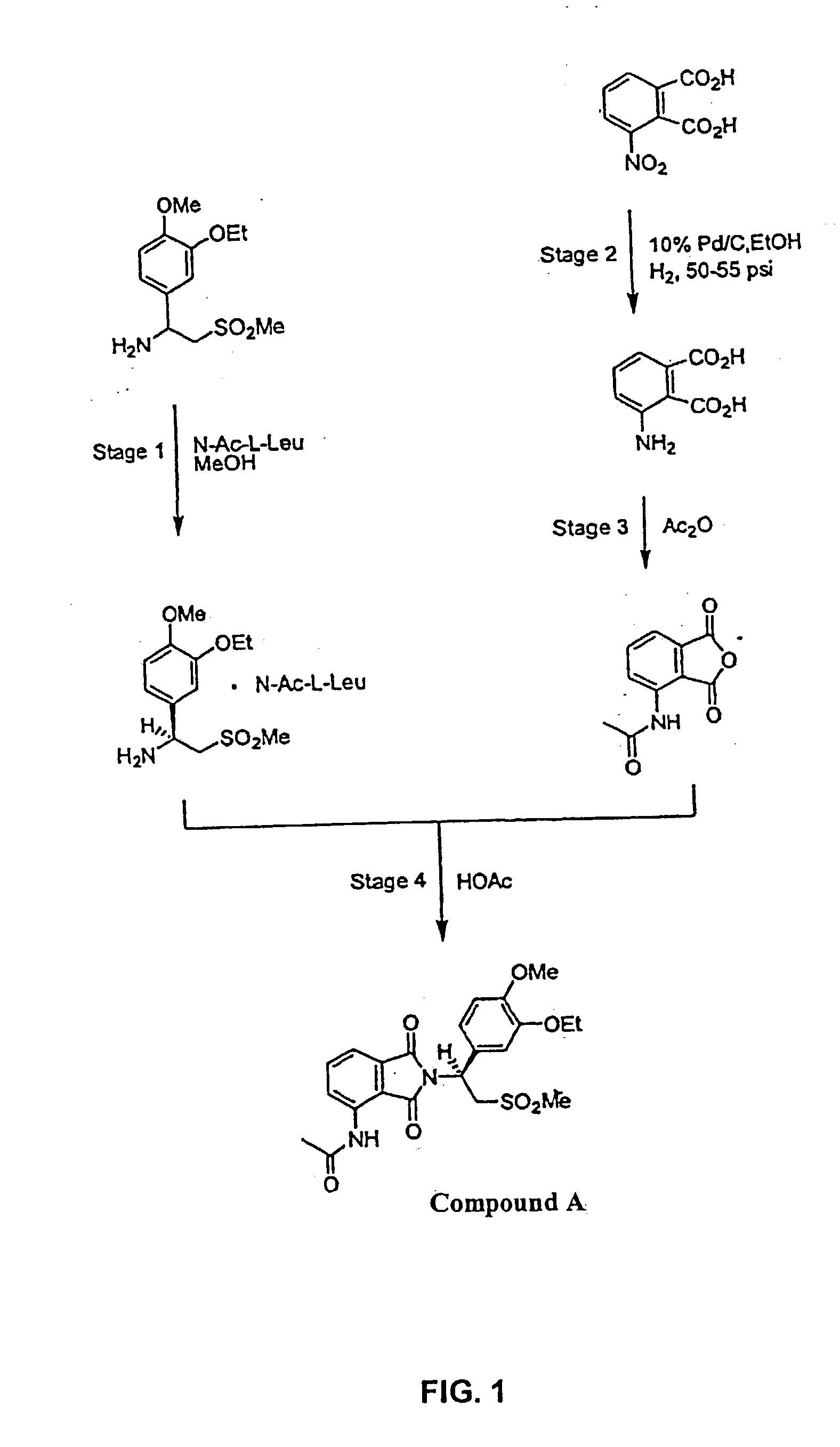 (+)-2-[1-(3-Ethoxy-4-methoxyphenyl)-2-methylsulfonylethyl]-4-acetylaminoisoindoline-1,3-dione: methods of using and compositions thereof