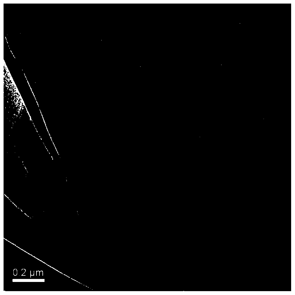 Graphene oxide-containing amplification system and application of system in detection of colorectal cancer markers