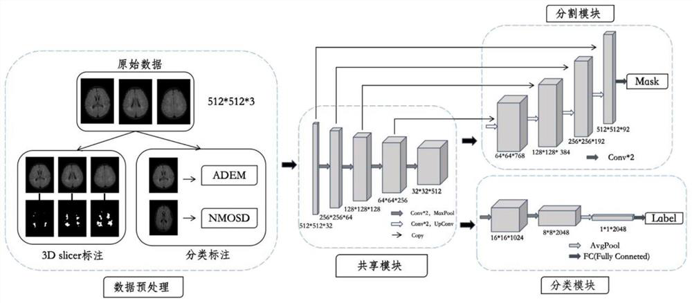 Deep fusion learning-based child brain MRI demyelination auxiliary analysis method