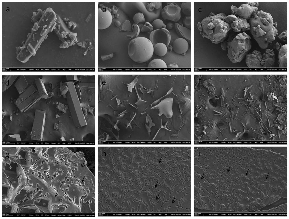 Phospholipid complex nanoparticle capable of improving stability and bioaccessibility of curcumin and preparation method of phospholipid complex nanoparticle