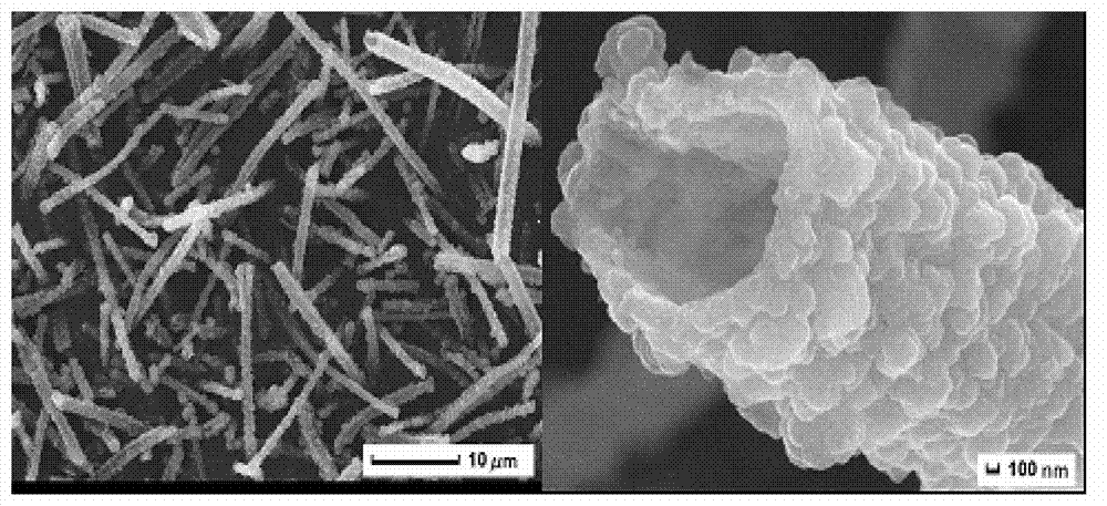 Preparation method of conductive polymer polypyrrole modified TiO2 and application thereof