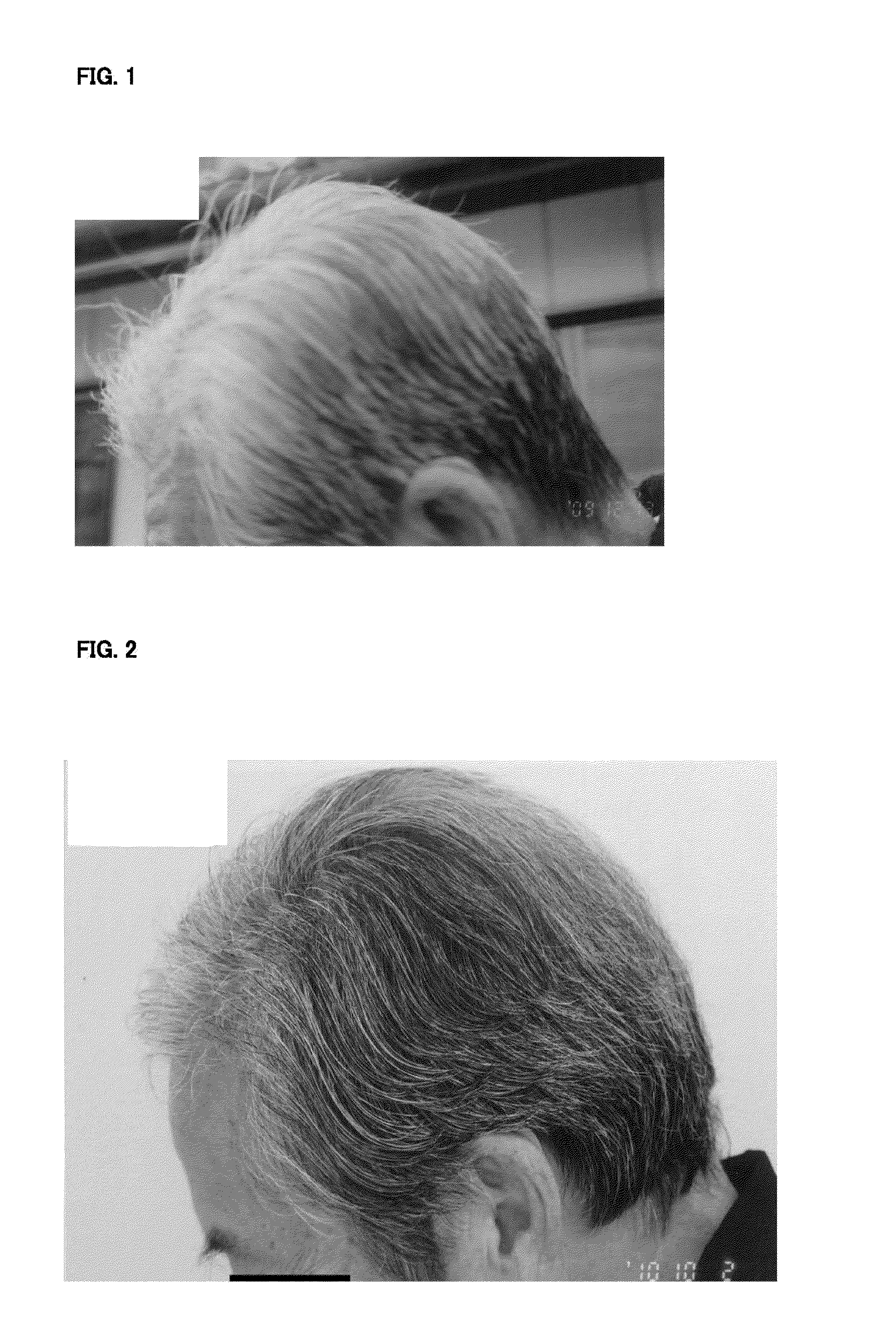 Hair growth and fostering agent