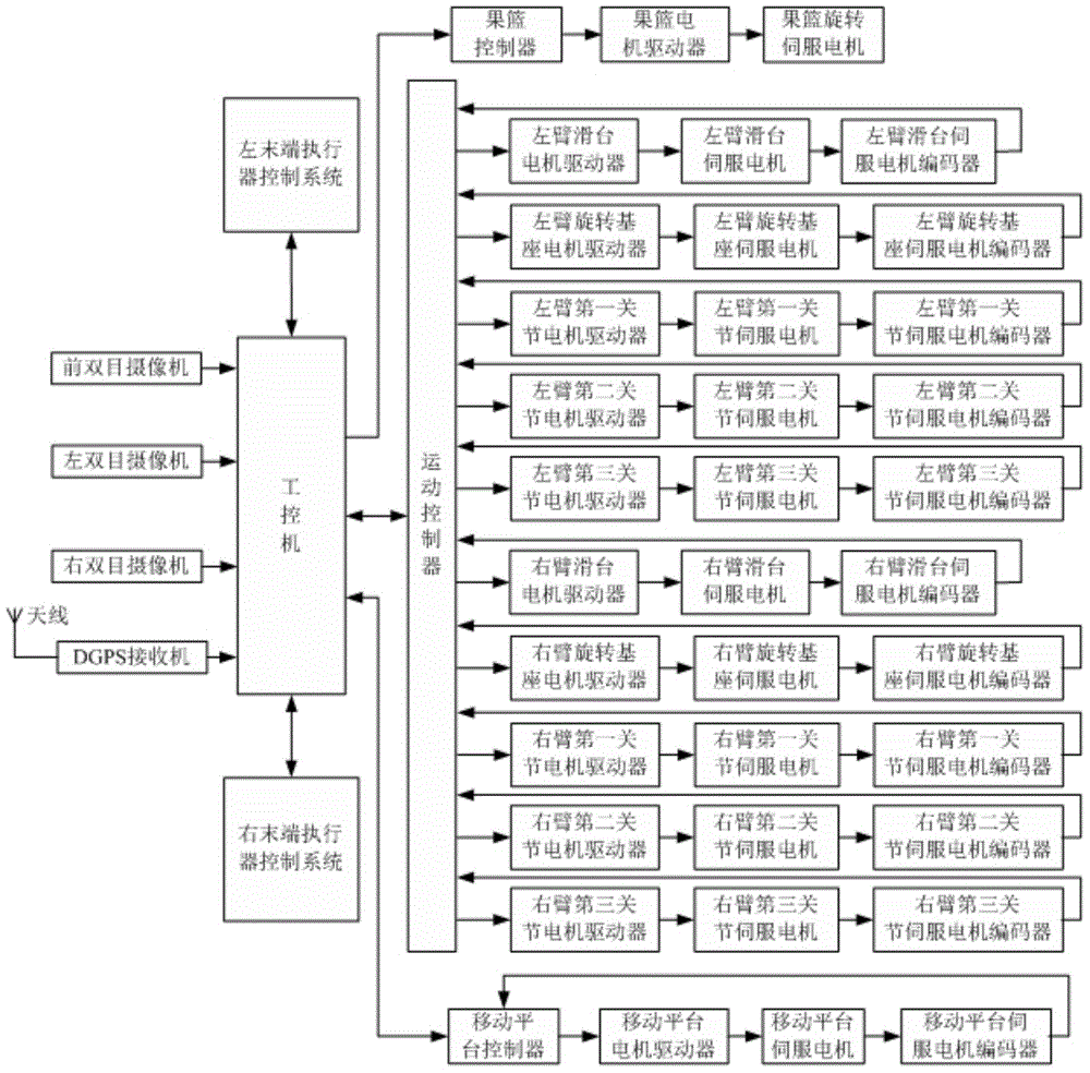 A dual-arm fruit picking robot and fruit picking method