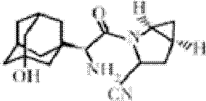 A kind of metformin crystal and its pharmaceutical composition with saxagliptin and preparation method