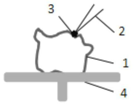 A Method for In Situ Preparation of TEM Samples of Nanoscale Particles in Complex Structured Samples