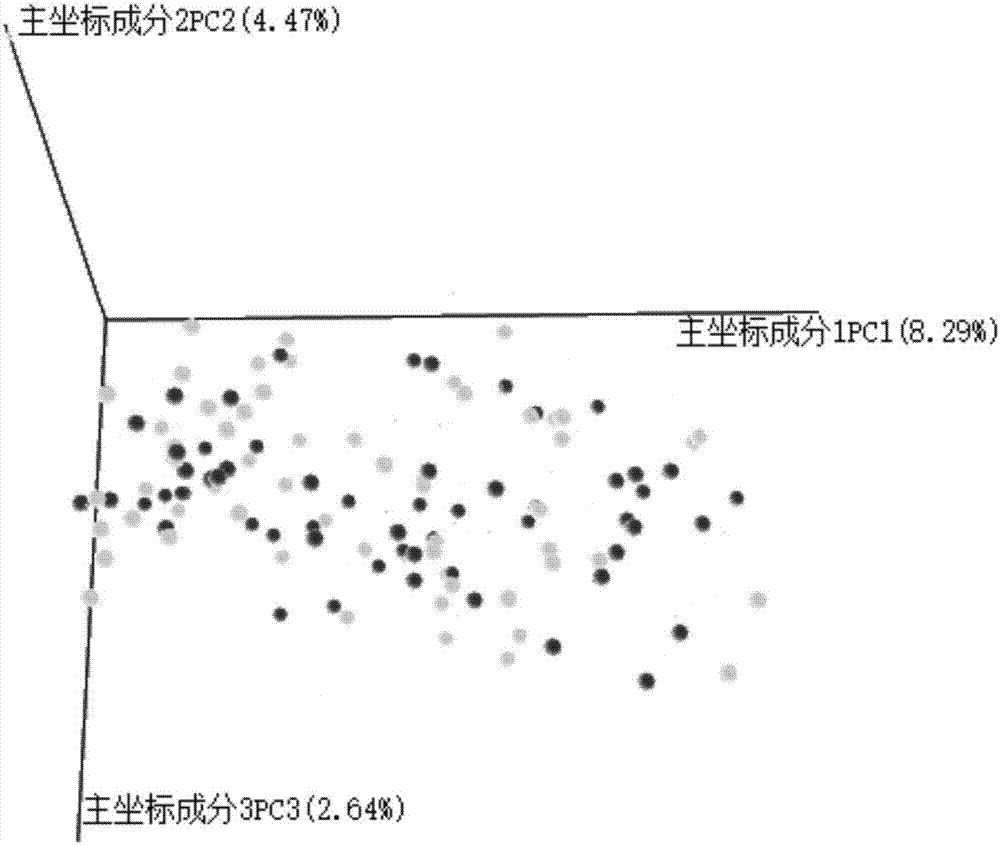 Method for analyzing children autism intestinal flora diversity and specific primer pair