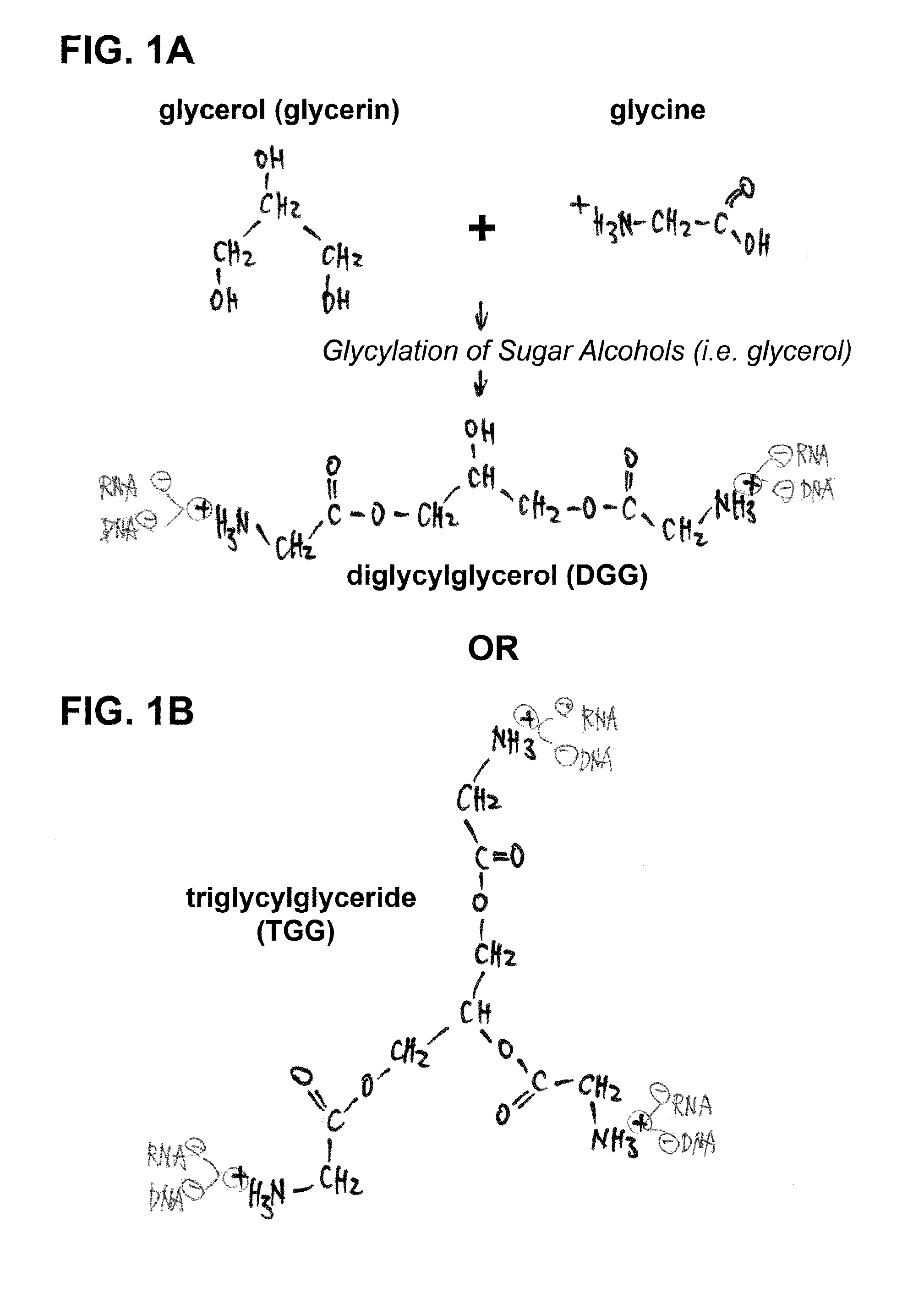 Novel sugar alcohol-based compositions for delivering nucleic acid-based drugs in vivo and in vitro