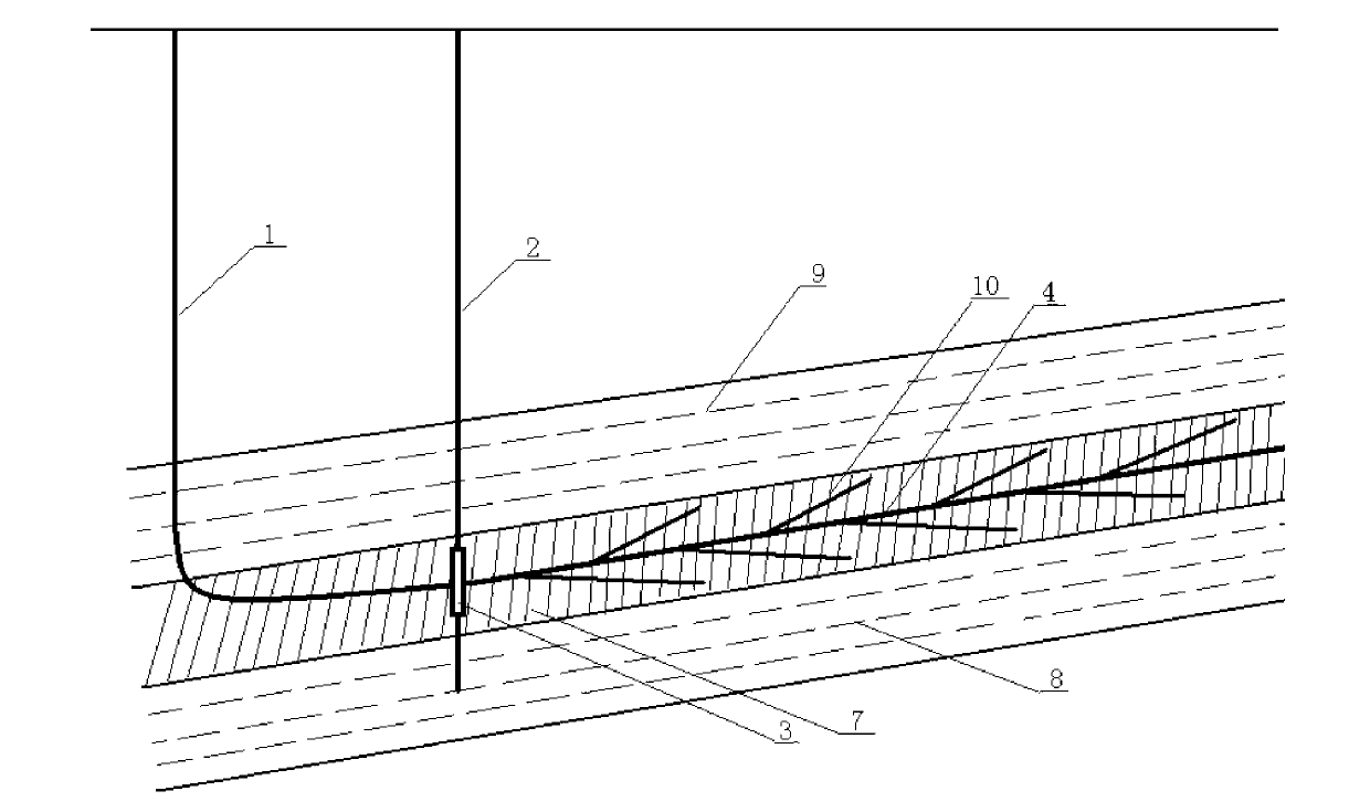 Coal-bed gas multi-branch horizontal-well system